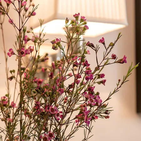 Ξενοδοχείο Heritage 19 4*