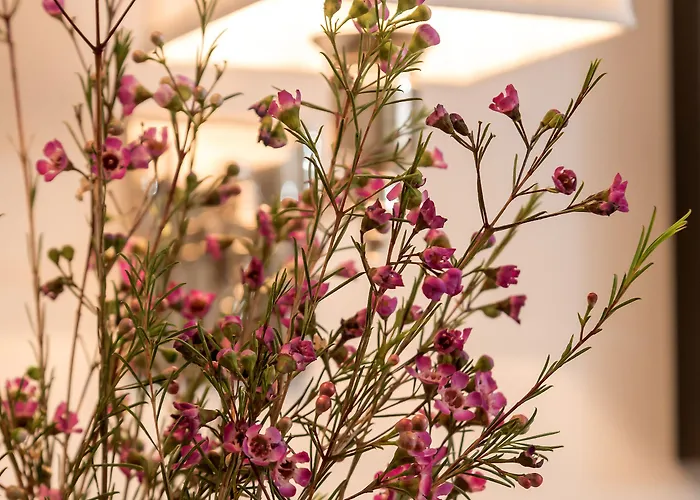 Hotel Heritage 19 4*